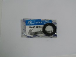 Прокладка свеч. кол.  Аванта 1.5 DOHC -96/12/09 - фото 1