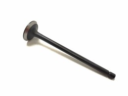 Клапан впускной G4LC 1.4L i30 Accent Ionic Hybrid Solaris i20 Bayon Carens Rio Ceed - фото 1